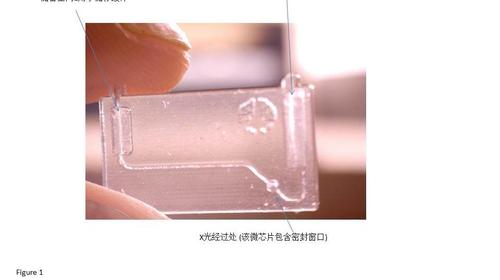 IDC Models为生物细胞研究制造复杂微芯片