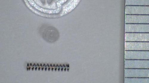 IDC Models制作药丸机器人，癌症治疗领域的革新性研发